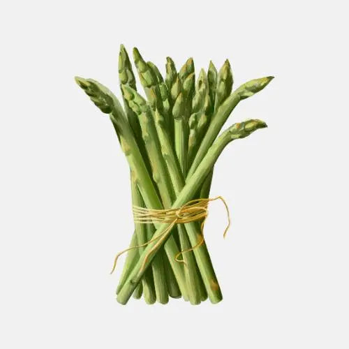 Asparagus and Artichokes